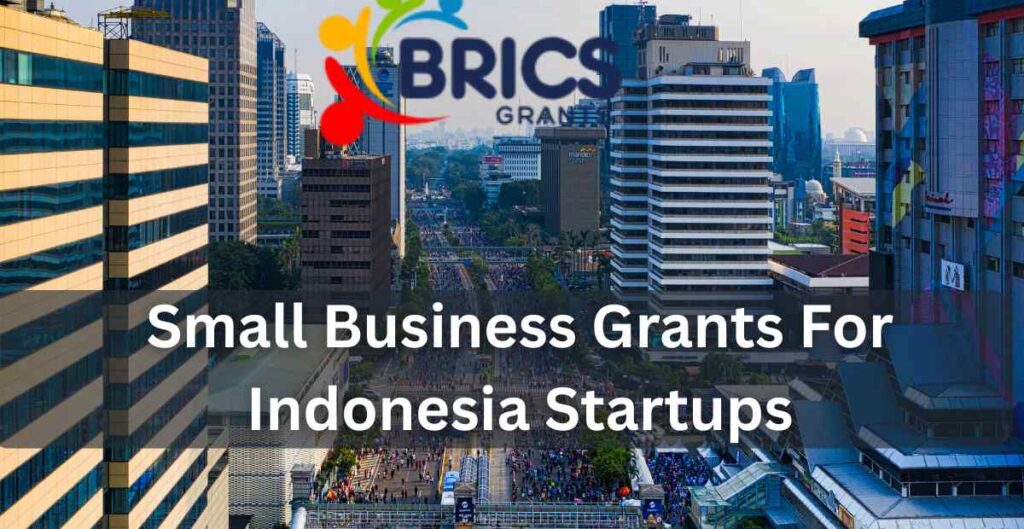 small business grants for indonesia startups
