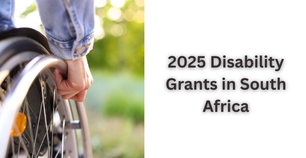2025 disability grants in south africa